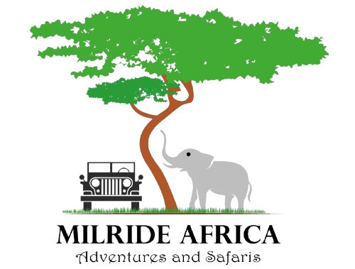 Milride Africa Safaris
