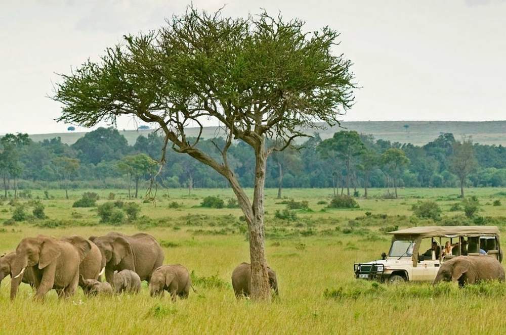 12 Days Kenya and Tanzania Combined Safari