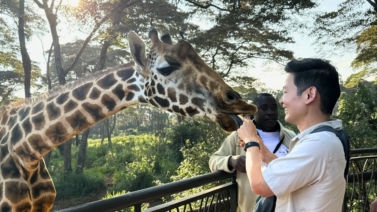3 Hours Visit Giraffe Center