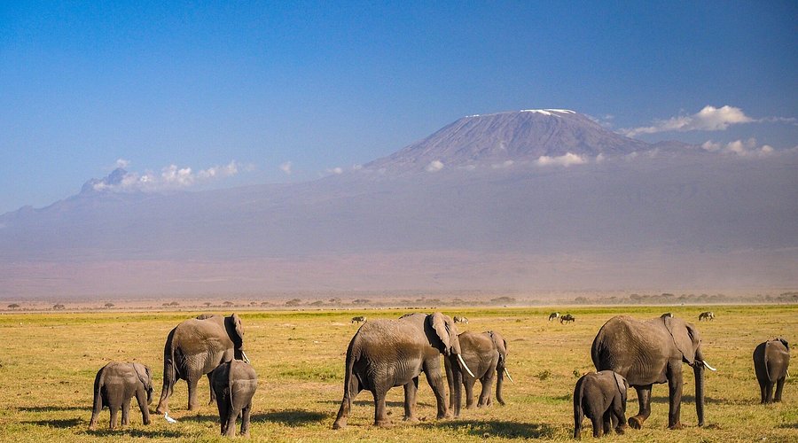 3 Days Safari Amboseli National Park