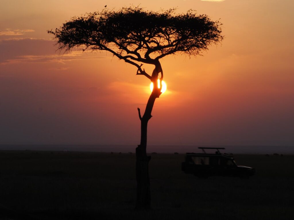 Safari Gallery - Milride Africa