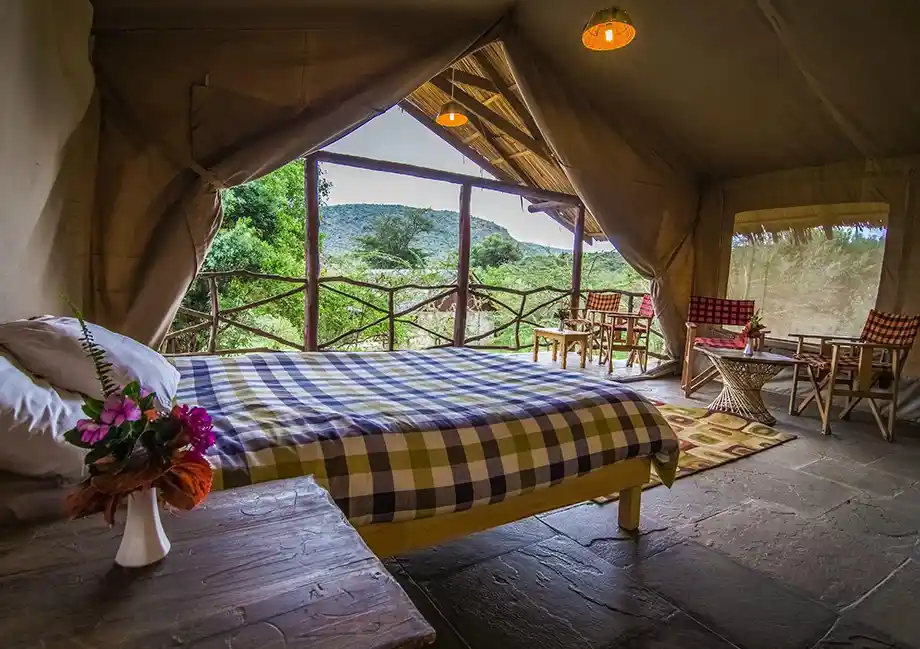 Luxury safari experience