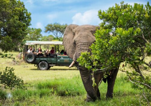 15 Days Kenya, Tanzania & Zanzibar Luxury Safari