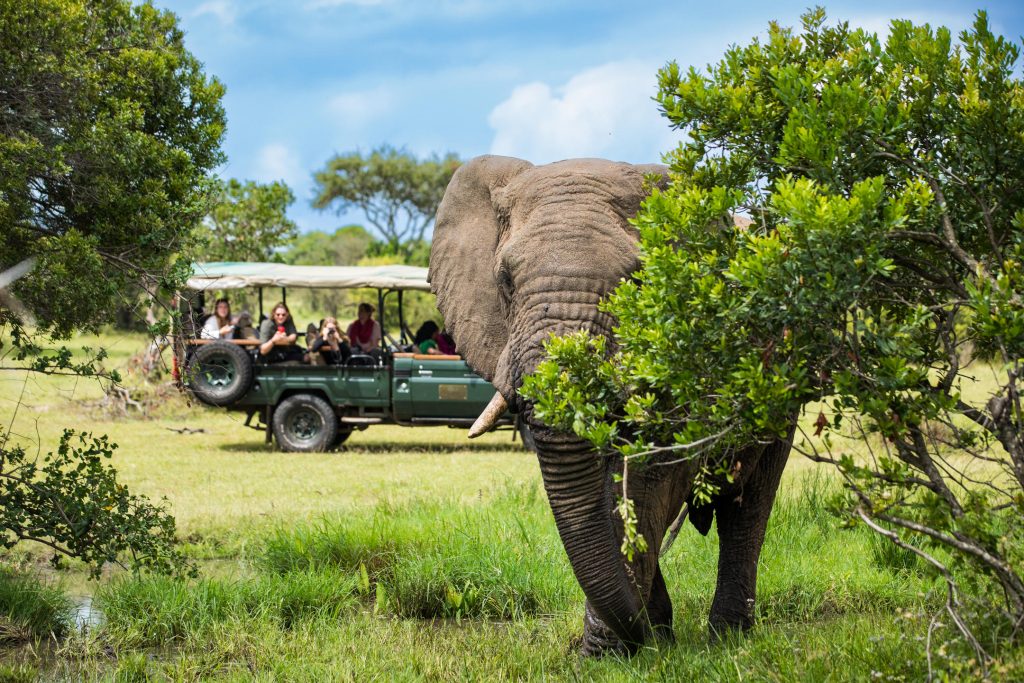 15 Days Kenya, Tanzania & Zanzibar Luxury Safari