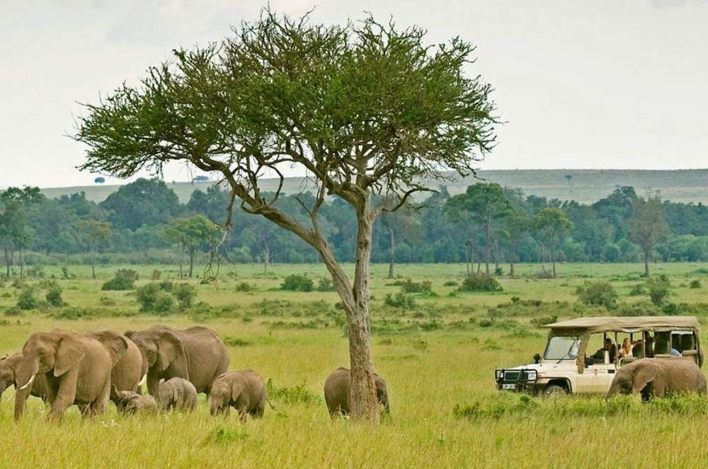 12 Days Kenya and Tanzania Combined Safari