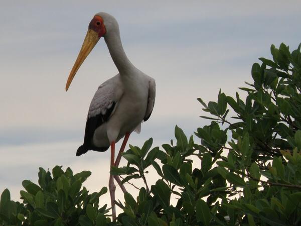 Lake Nakuru National Park