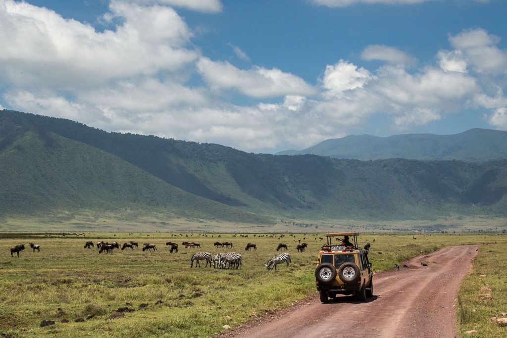 Milride Africa safari photo 5