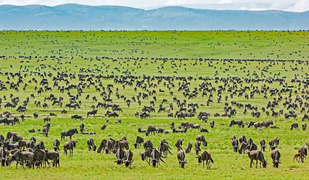Serengeti National Park